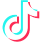 TikTok Icon